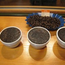 Coffee Tasting (Cupping) – Beginner 下午班($480)