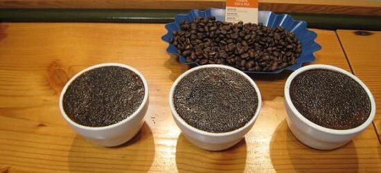 Coffee Tasting (Cupping) – Advance ($500)