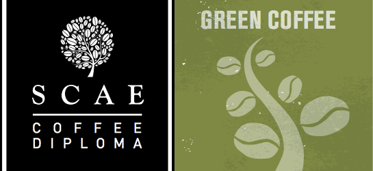 *Tsuen Wan* SCAE Certificate – Green Coffee (Foundation) ($2000)